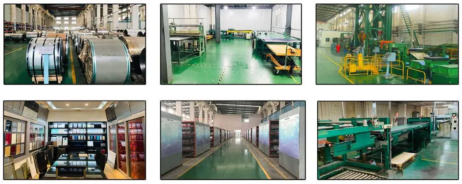 Painted Aluminum Coil Color Coated Steel Coil Price PVDF/PE Prepainted Aluminum Coil/Roll/Steel Sheet